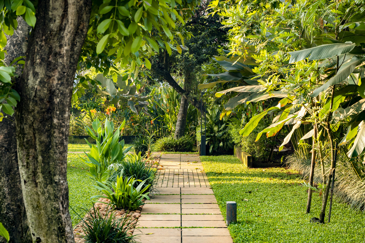 Garden of Light – Residence for Dr.Mujeeb and Dr.Shakeela - 6